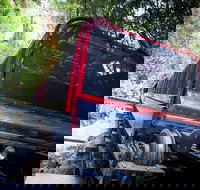 Blue Mountains Hop-on Hop-off Tour with Optional Scenic World Rides - New Castle Holiday