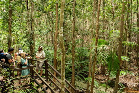 Fraser Explorer K'gari 2-Day Tour - New Castle Holiday 5