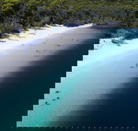 All-Inclusive Fraser Island Day Tour - New Castle Holiday