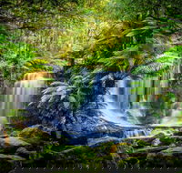 Day Tour in Mt. Field Mt. Wellington Bonorong Wildlife Sanctuary and Richmond - New Castle Holiday