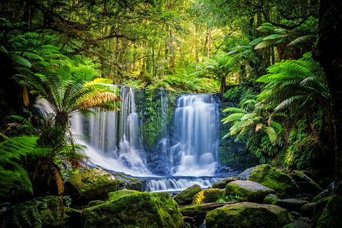 Day Tour In Mt. Field, Mt. Wellington, Bonorong Wildlife Sanctuary And Richmond - New Castle Holiday 0