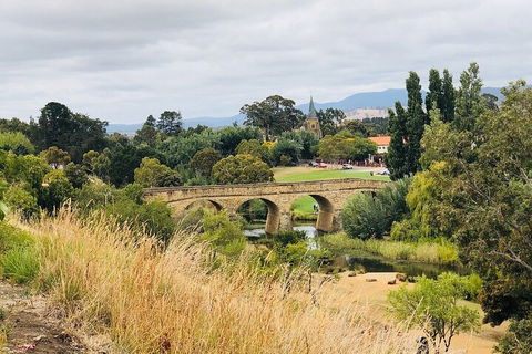 Day Tour In Mt. Field, Mt. Wellington, Bonorong Wildlife Sanctuary And Richmond - New Castle Holiday 3