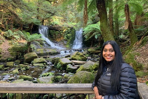 Day Tour In Mt. Field, Mt. Wellington, Bonorong Wildlife Sanctuary And Richmond - New Castle Holiday 5
