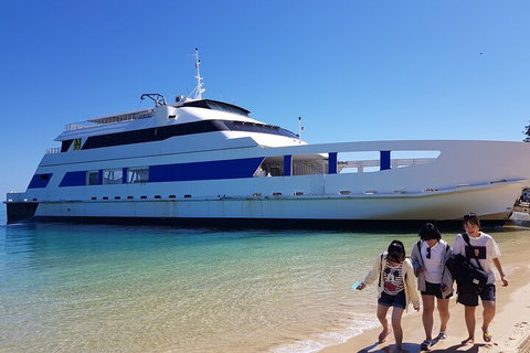 Moreton Island Day Trip (Kayak, Snorkel & Sandboard) Frm Brisbane Or Gold Coast - New Castle Holiday 0