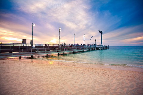 Tangalooma Island Resort Whale Watching Day Cruise With Dolphin Viewing - New Castle Holiday 3