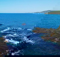 Julian Rocks Byron Bay Cruise - New Castle Holiday