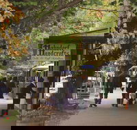 Adelaide Highlights Hahndorf  McLaren Vale Wine Tasting and Sightseeing Tour - New Castle Holiday