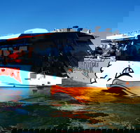 Paradise Jet Boating and Aquaduck Combo - New Castle Holiday