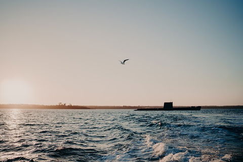 Phillip Island Twilight Cruise - New Castle Holiday 1