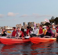 Brisbane River Guided Evening Tour by Kayak - Our Most Popular Tour - New Castle Holiday