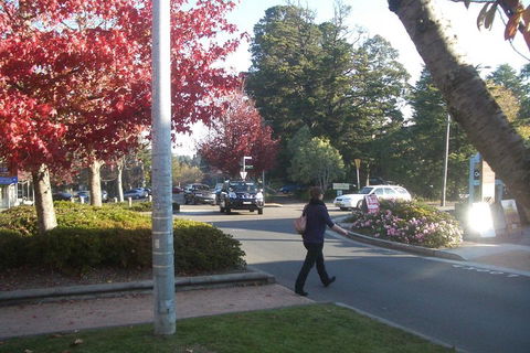 PRIVATE All-Day Blue Mountains Tour With Professional Guide For Up To 4 People - New Castle Holiday 1