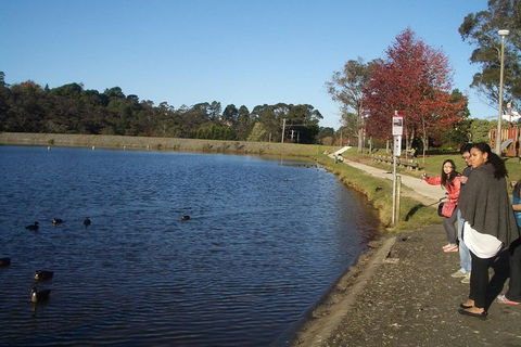PRIVATE All-Day Blue Mountains Tour With Professional Guide For Up To 4 People - New Castle Holiday 2