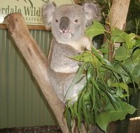 Blue Mountains Private Full-Day Tour from Sydney with Cruise - New Castle Holiday