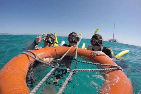 Full-Day Great Barrier Reef Sailing Trip - New Castle Holiday 0