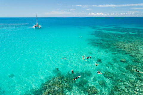 Full-Day Great Barrier Reef Sailing Trip - New Castle Holiday 2