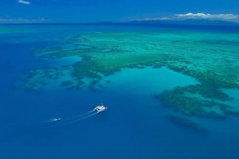 Full-Day Great Barrier Reef Sailing Trip - New Castle Holiday 3