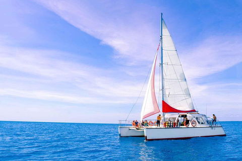 Full-Day Great Barrier Reef Sailing Trip - New Castle Holiday 4