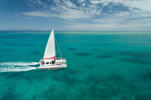 Full-Day Great Barrier Reef Sailing Trip - New Castle Holiday 5