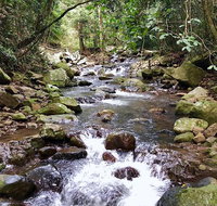 Springbrook Full Day Tour - New Castle Holiday