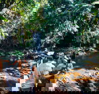 Aquaduck  Your choice of Gold Coast Rainforest Tour - New Castle Holiday