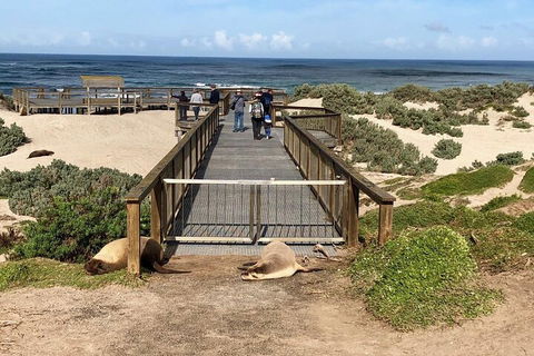 Kangaroo Island 4WD Tour - Best Of KI - New Castle Holiday 2