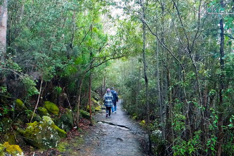 Kunanyi/Mt Wellington Tour & Hobart Hop-On Hop-Off Bus - New Castle Holiday 1