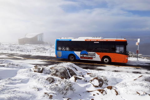 Kunanyi/Mt Wellington Tour & Hobart Hop-On Hop-Off Bus - New Castle Holiday 2