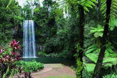 Paronella Park And Millaa Millaa Falls Full-day Tour From Cairns - New Castle Holiday 3