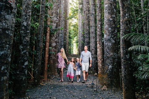 Paronella Park And Millaa Millaa Falls Full-day Tour From Cairns - New Castle Holiday 5