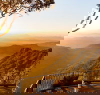 O'Reilly's  Lamington National Park incl. Alpaca Farm  Vineyard - New Castle Holiday