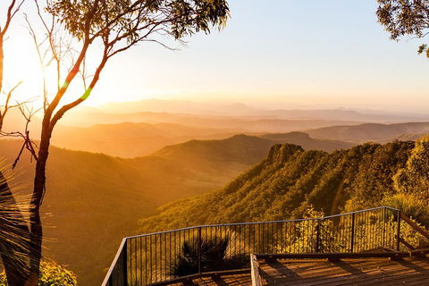 O'Reilly's & Lamington National Park Incl. Alpaca Farm + Vineyard - New Castle Holiday 0