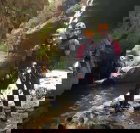 Blue Mountains Empress Canyon Adventure from Wentworth Falls - New Castle Holiday