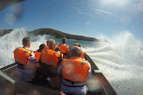 Noosa Thriller - 500hp Ocean Adventure Ride - New Castle Holiday 3