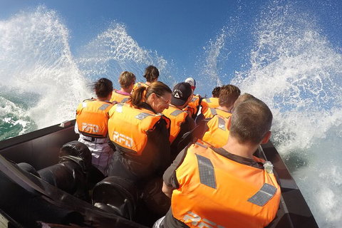 Noosa Thriller - 500hp Ocean Adventure Ride - New Castle Holiday 4