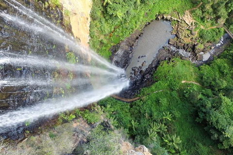 Natural Bridge & Springbrook Waterfalls Tour + Hot Air Balloon With Breakfast - New Castle Holiday 1