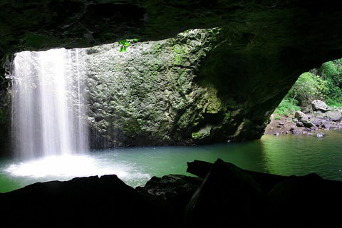 Natural Bridge & Springbrook Waterfalls Tour + Hot Air Balloon With Breakfast - New Castle Holiday 2