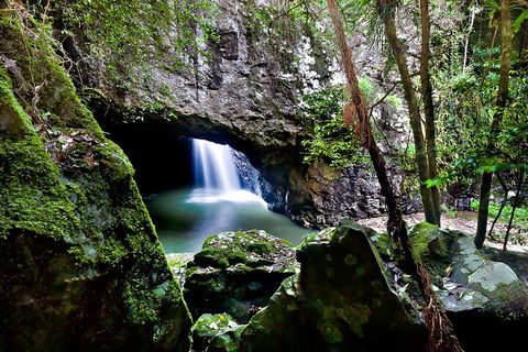 Natural Bridge & Springbrook Waterfalls Tour + Hot Air Balloon With Breakfast - New Castle Holiday 4