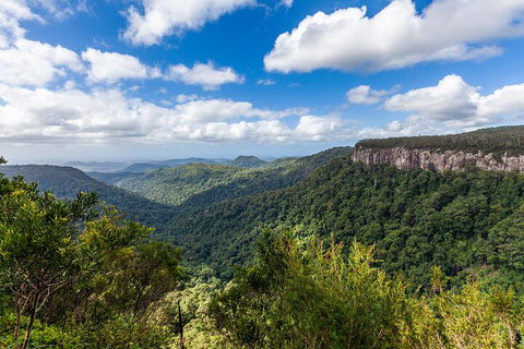 Natural Bridge & Springbrook Waterfalls Tour - New Castle Holiday 1