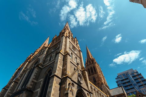 Highlights & Hidden Gems With Locals: Best Of Melbourne Private Tour - New Castle Holiday 4