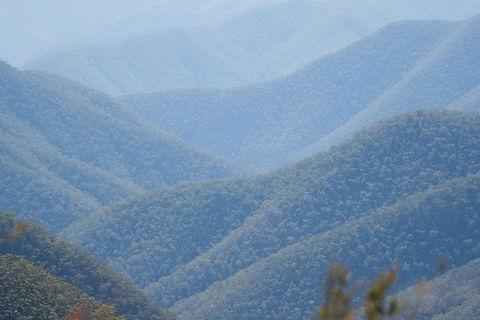 From The Mountains To The Bay - 4 Day Rediscovery Private Tour - New Castle Holiday 1