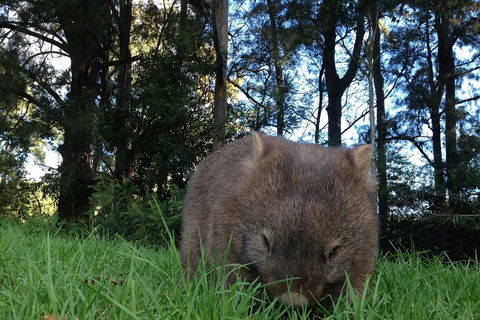 From The Mountains To The Bay - 4 Day Rediscovery Private Tour - New Castle Holiday 5
