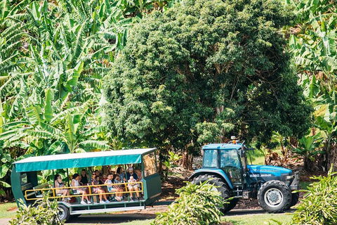 Northern Rivers Full Day Wine Tour - New Castle Holiday 1