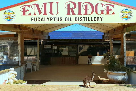 Full-Day Kangaroo Island Safari From Penneshaw - New Castle Holiday 2