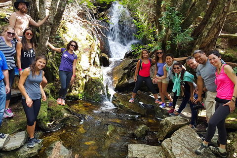 7-Day Super Value Tour Of Tasmania: Explore Tasmania's West And East Coasts - New Castle Holiday 2