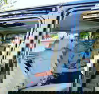 Albany's Whale Story - New Castle Holiday