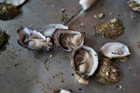 Fine Flavours - Full Day Kangaroo Island Food & Wine Tour - New Castle Holiday 2