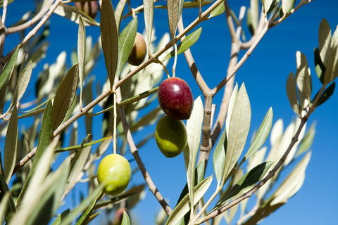 Fine Flavours - Full Day Kangaroo Island Food & Wine Tour - New Castle Holiday 4