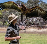 One Day Kangaroo Island Sip  See tour with return ferry transfers from Adelaide - New Castle Holiday
