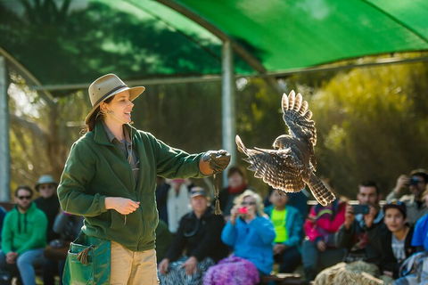 Full Day Kangaroo Island Sip And See Tour Departing From Kangaroo Island - New Castle Holiday 1