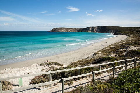 Full Day Kangaroo Island Sip And See Tour Departing From Kangaroo Island - New Castle Holiday 5